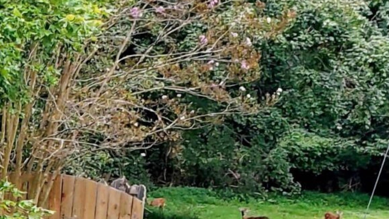 Photo of Outdoor in Jamestown