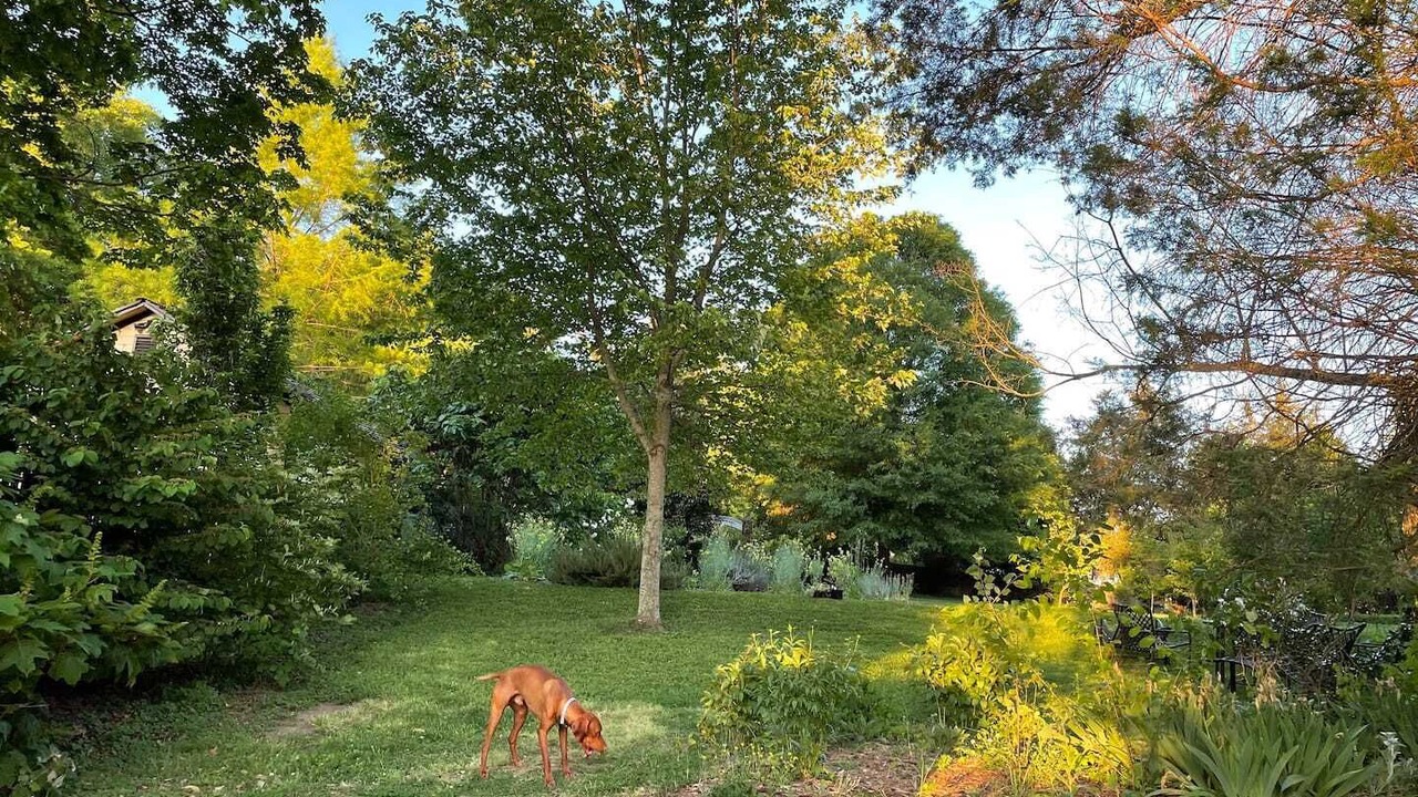 Photo of Outdoor in Winston - Salem