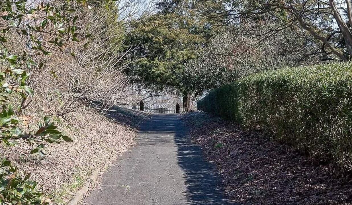 Photo of Outdoor in Winston - Salem