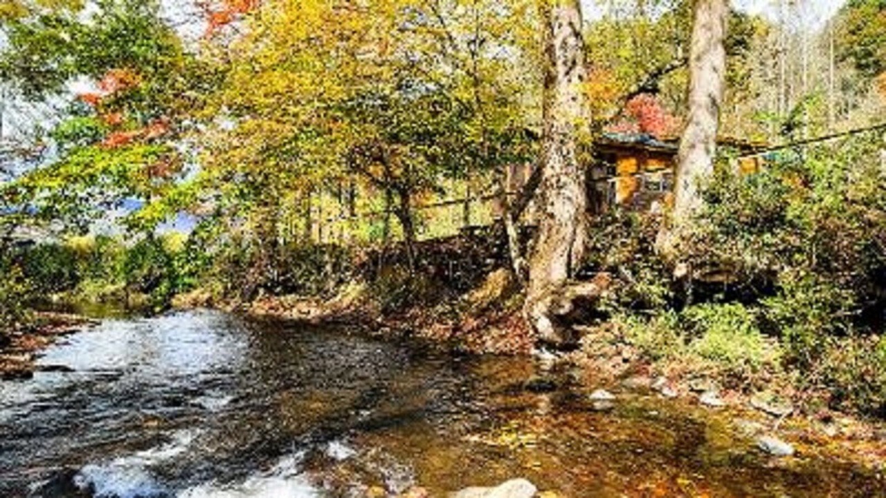 Photo of Outdoor in Andrews