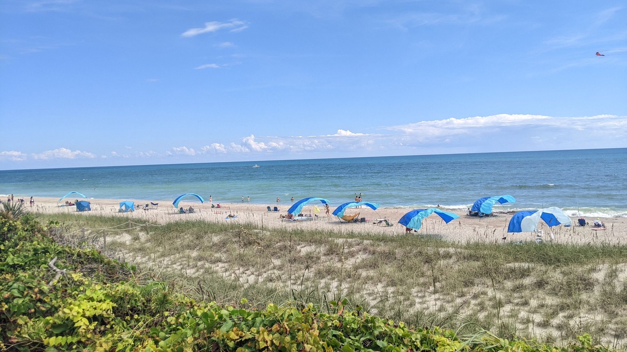 Photo of Others in Pine Knoll Shores