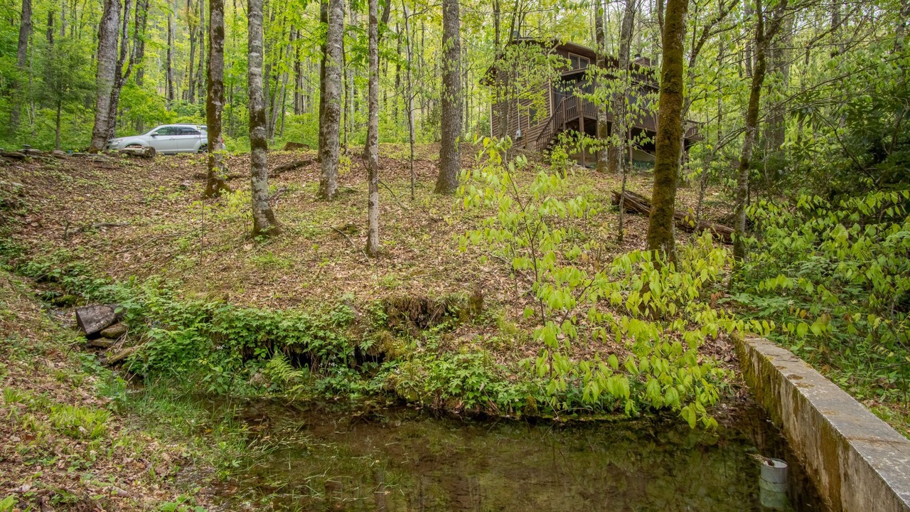 Photo of Outdoor in Cranberry Falls