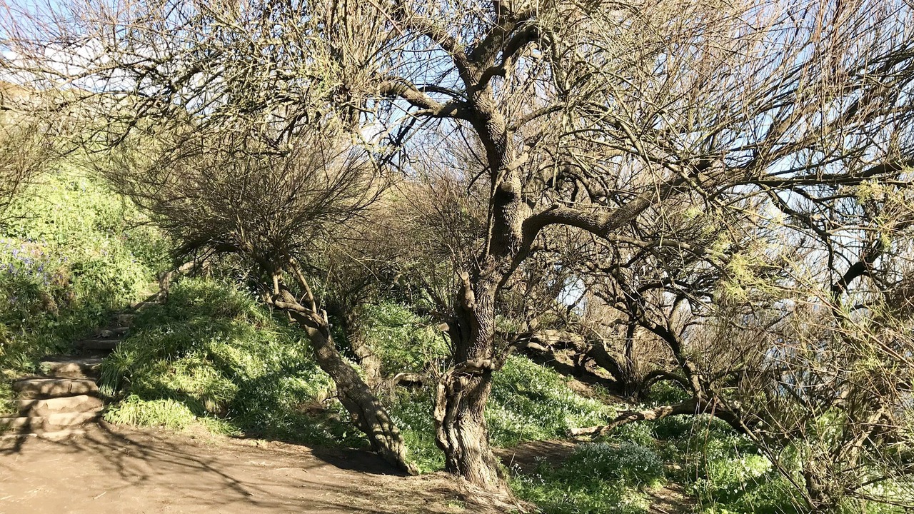 Photo of Outdoor in Landewednack