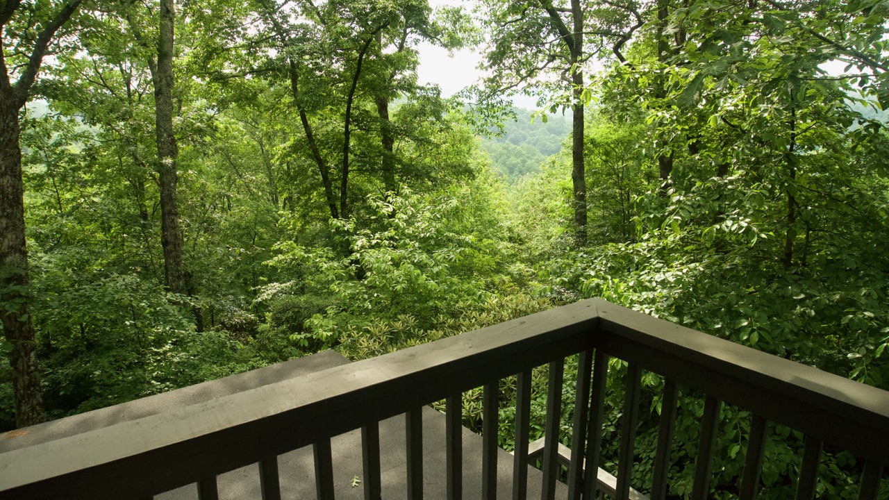 Photo of Patio Balcony in Brevard