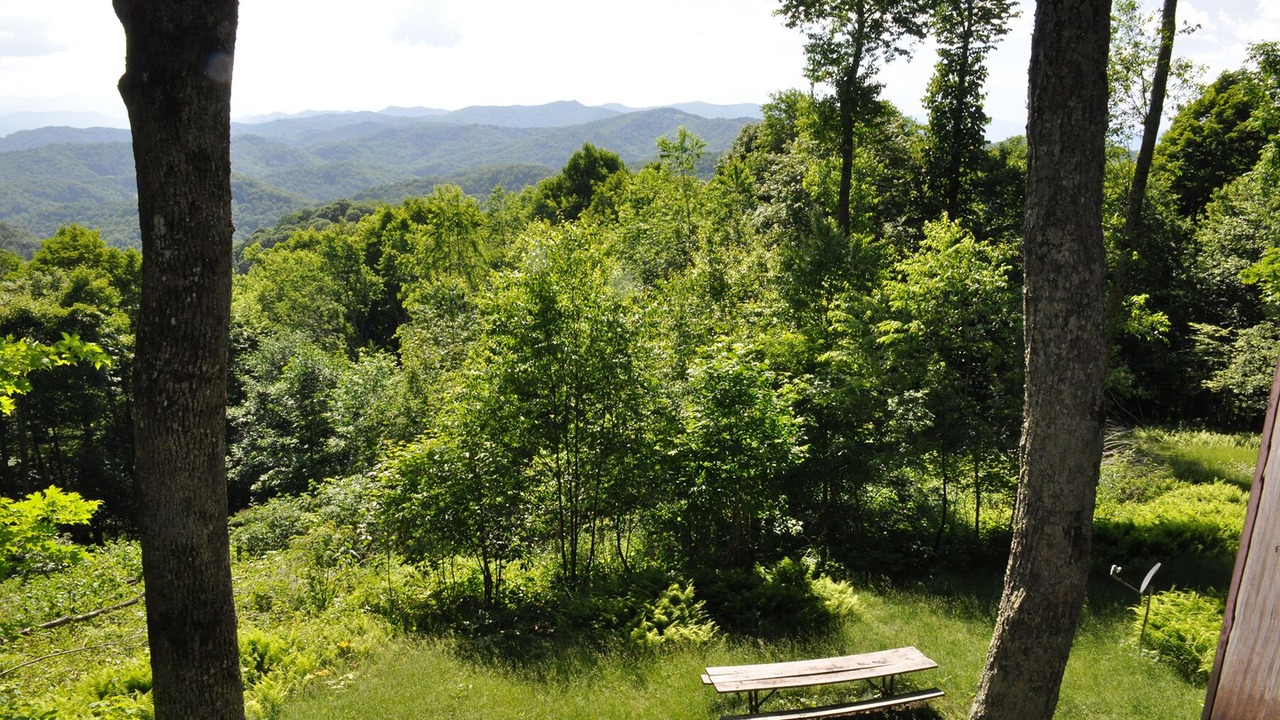 Photo of Outdoor in Wolf Laurel