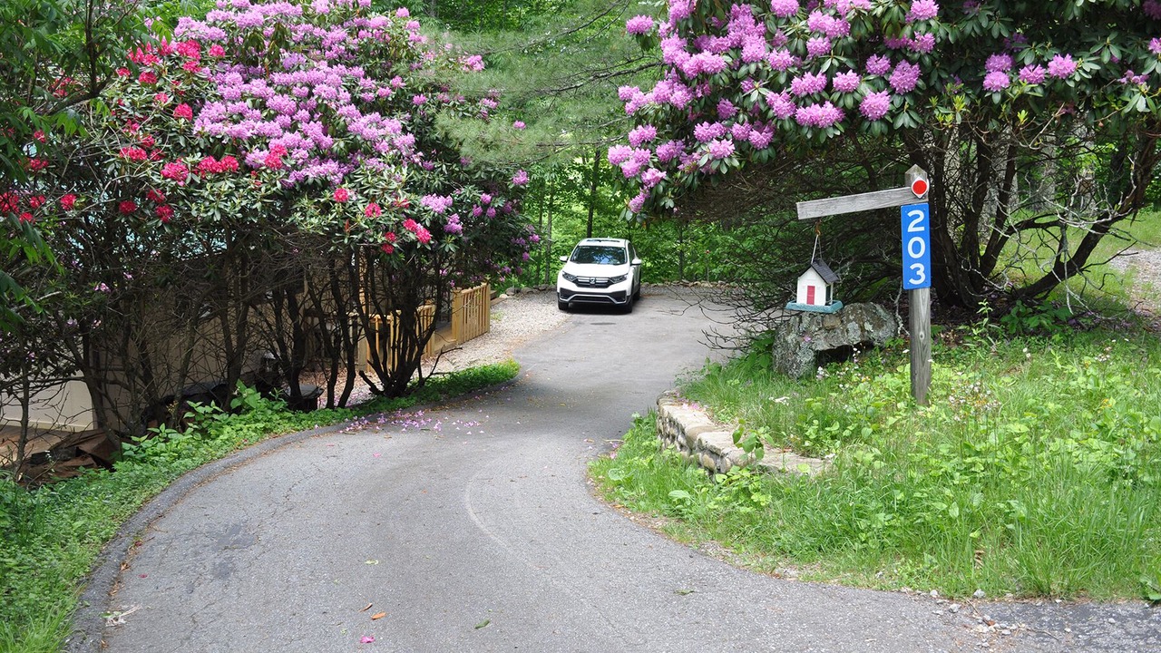 Photo of Outdoor in Wolf Laurel
