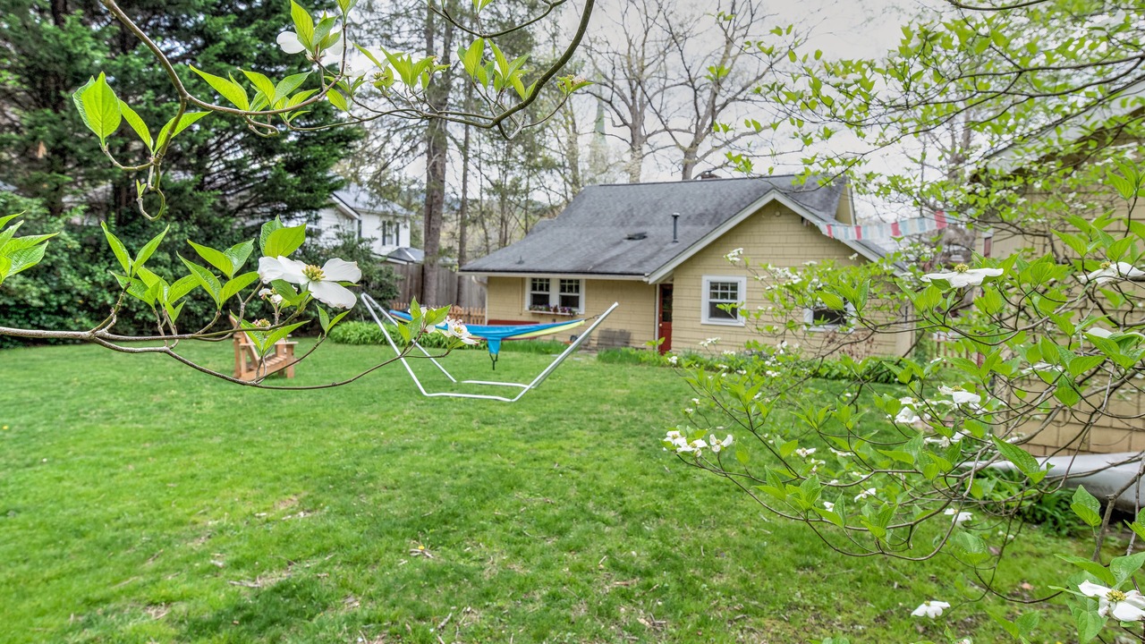 Photo of Outdoor in Black Mountain