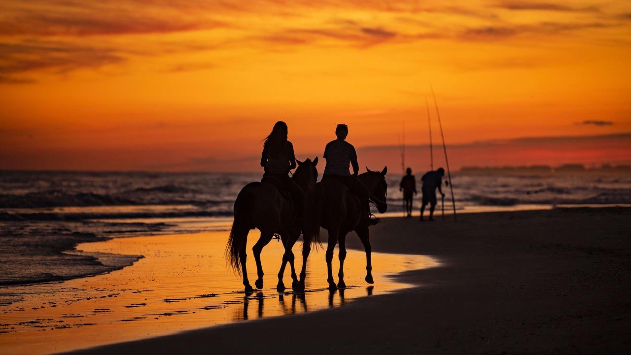 Photo of Others in Rodanthe