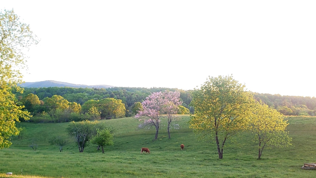 Photo of Outdoor in Flat Rock