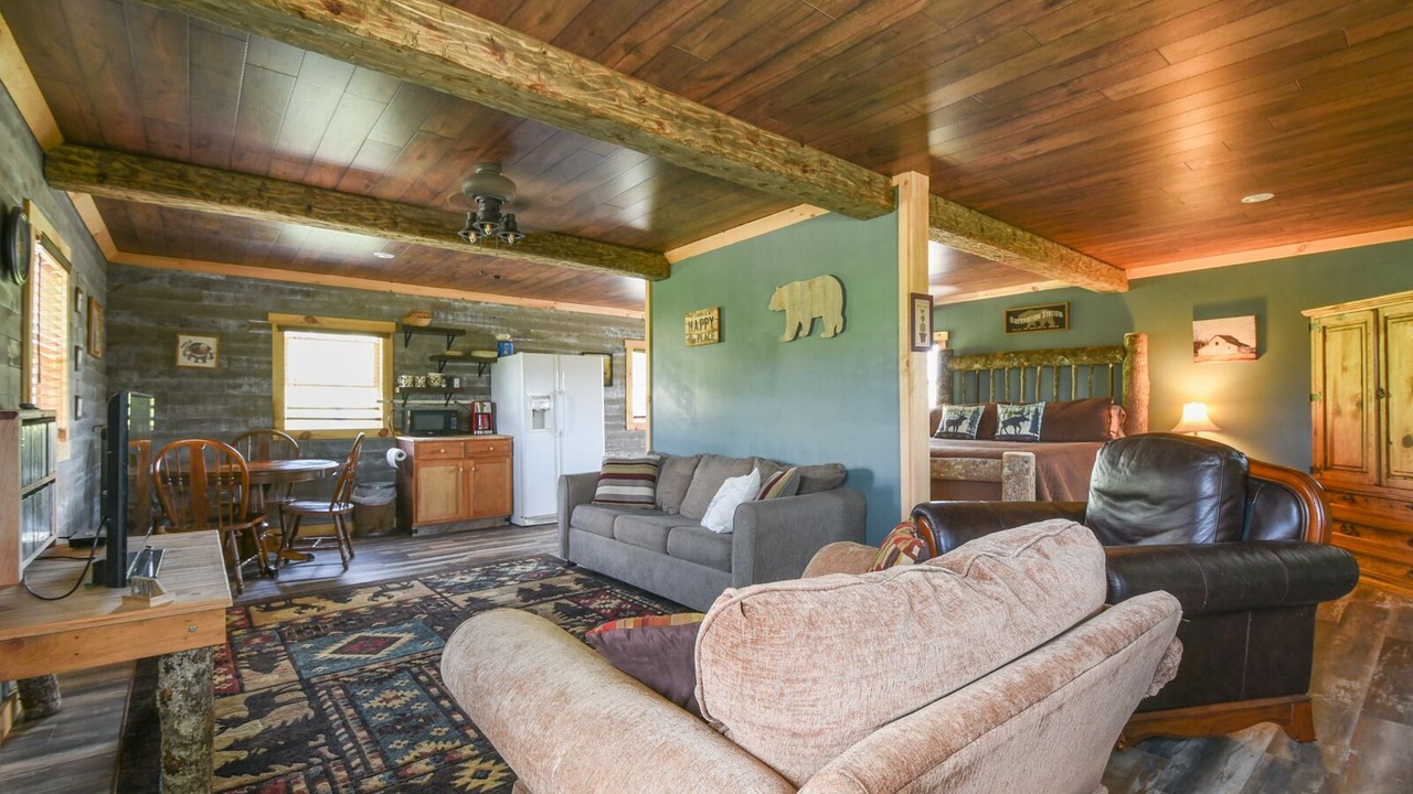 Photo of Livingroom in Flat Rock