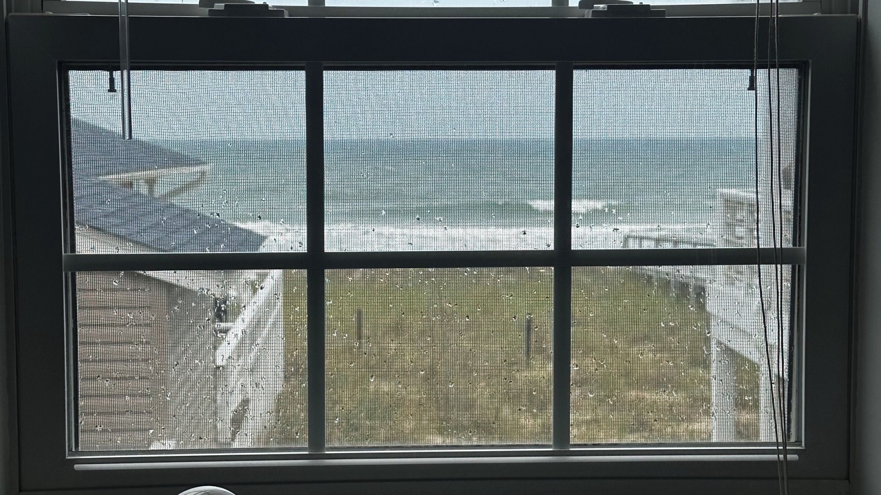 Photo of Others in Wilmington Beach