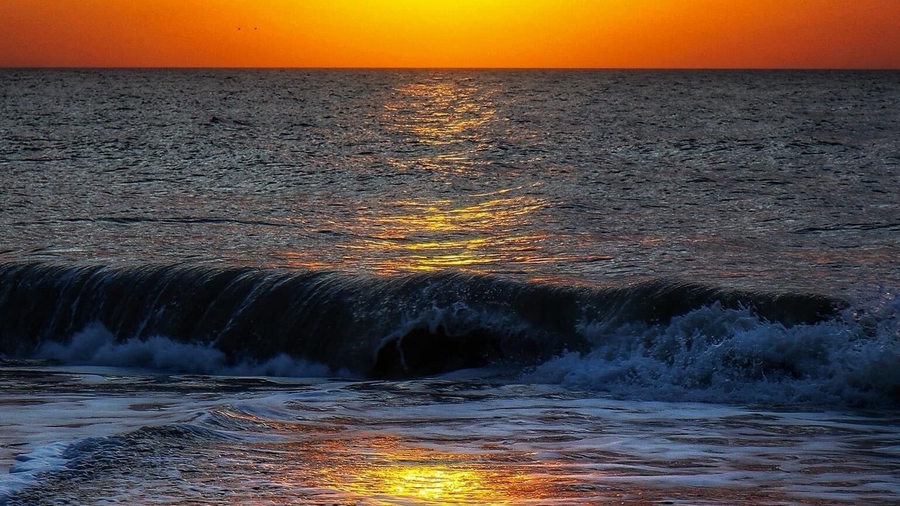 Photo of Others in Wilmington Beach