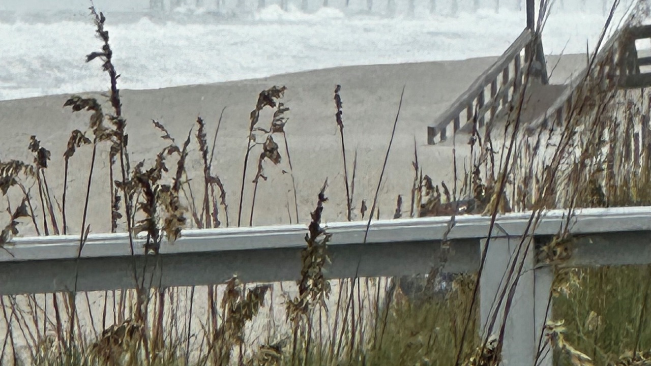 Photo of Others in Wilmington Beach