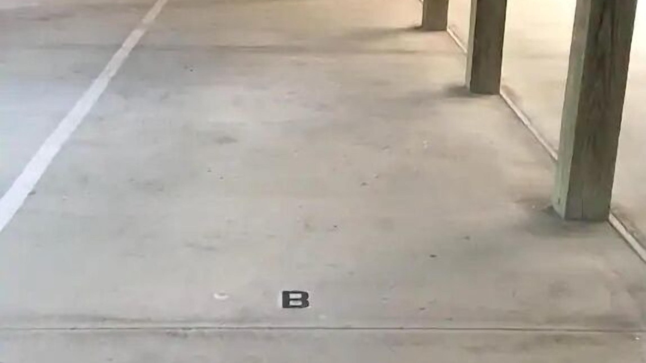Photo of Outdoor in Wilmington Beach