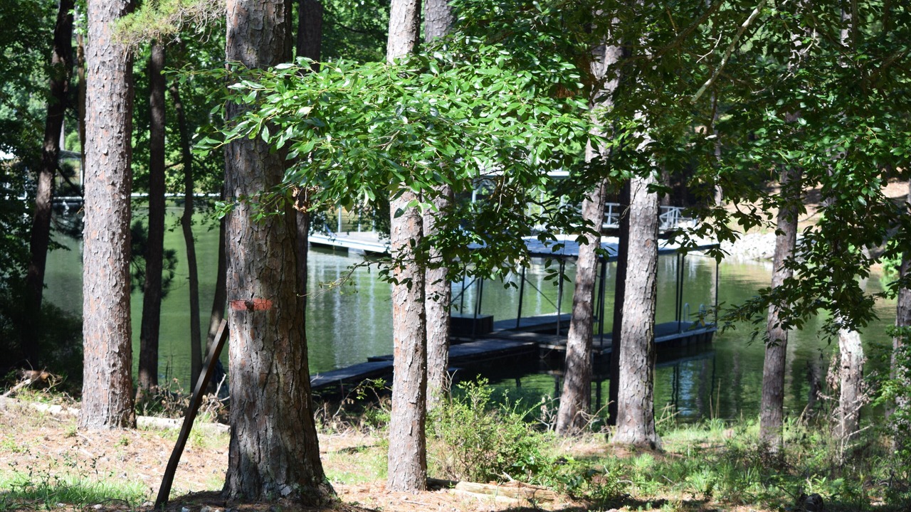 Photo of Outdoor in Lincolnton