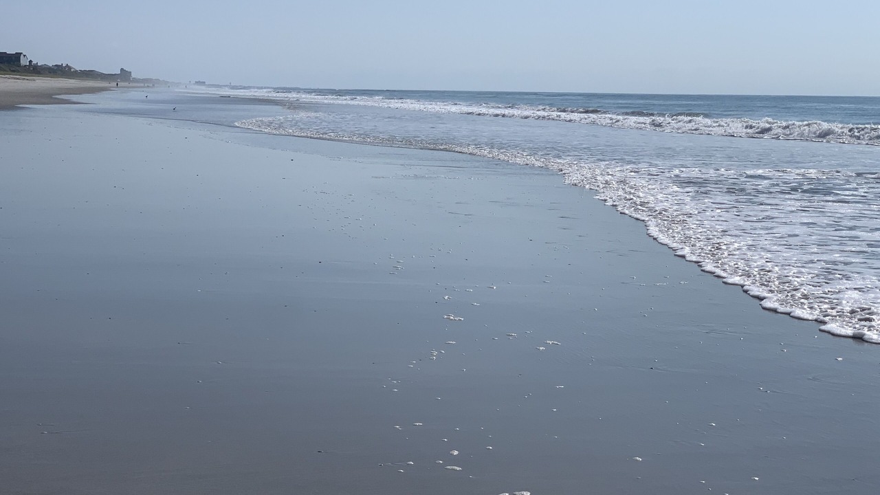 Photo of Others in Indian Beach