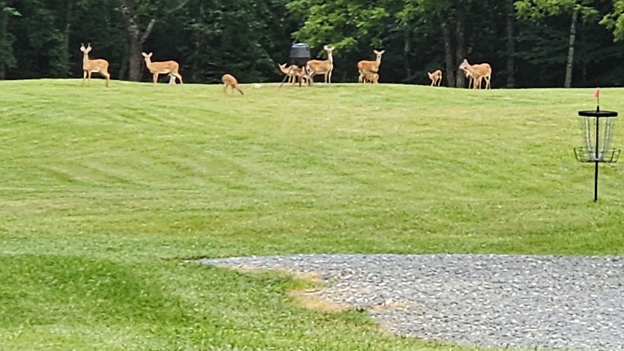 Photo of Outdoor in King