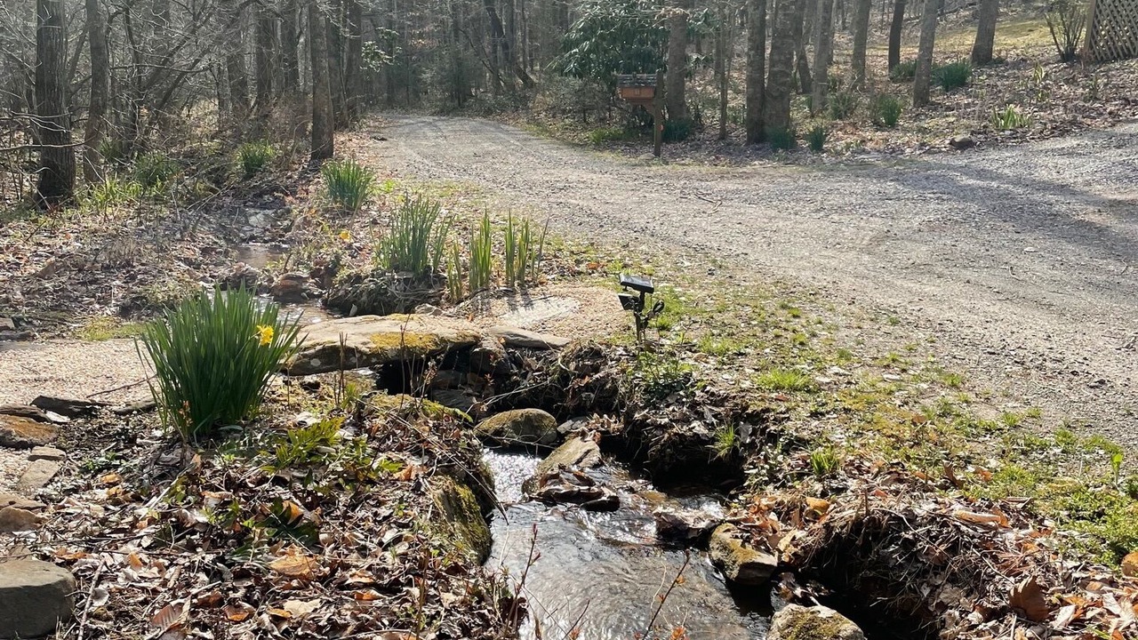 Photo of Outdoor in Weaverville