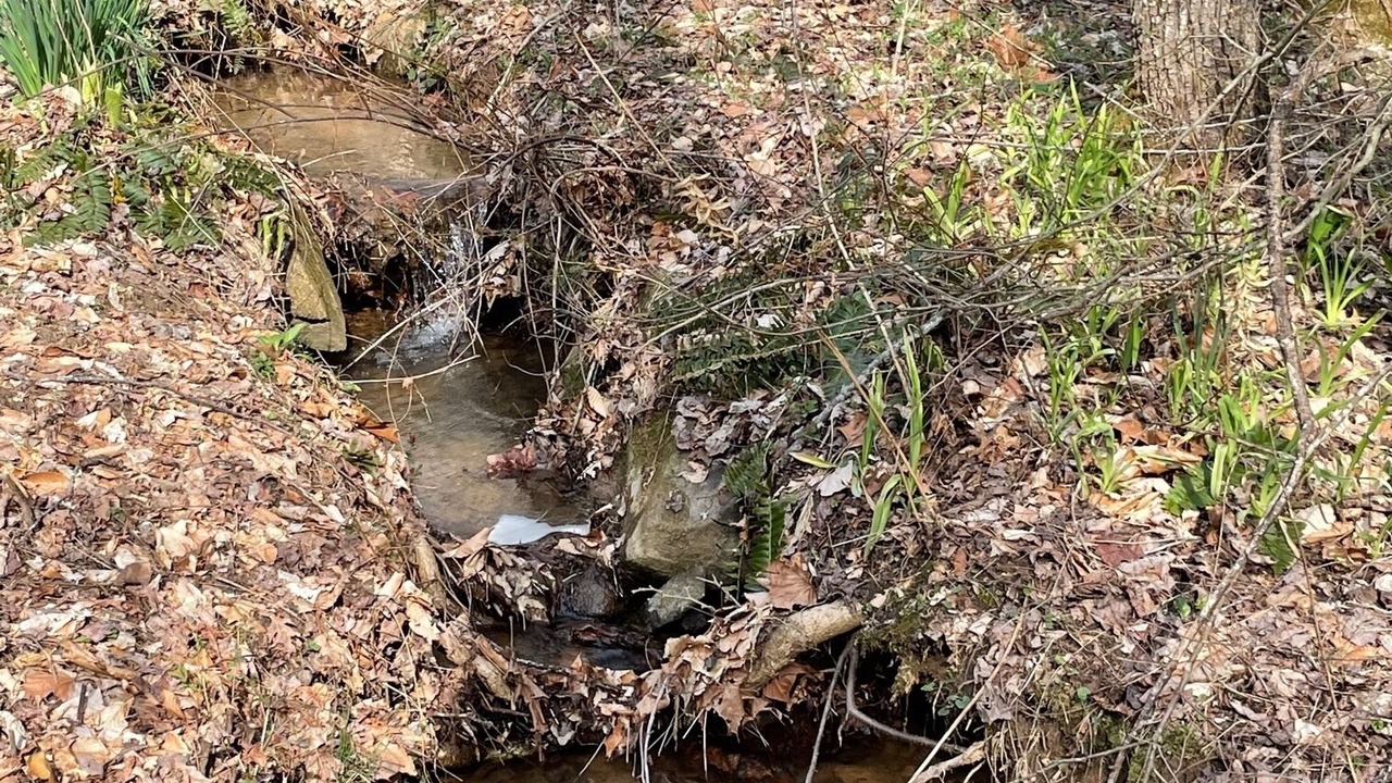 Photo of Outdoor in Weaverville