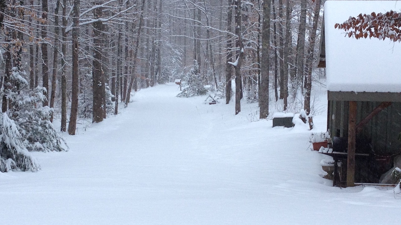 Photo of Outdoor in Weaverville