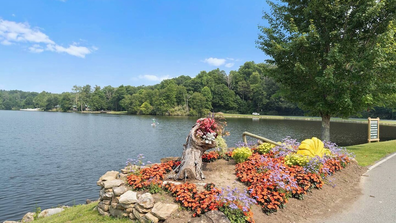 Photo of Outdoor in Newland