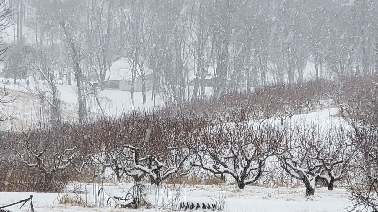 Photo of Others in Mount Airy