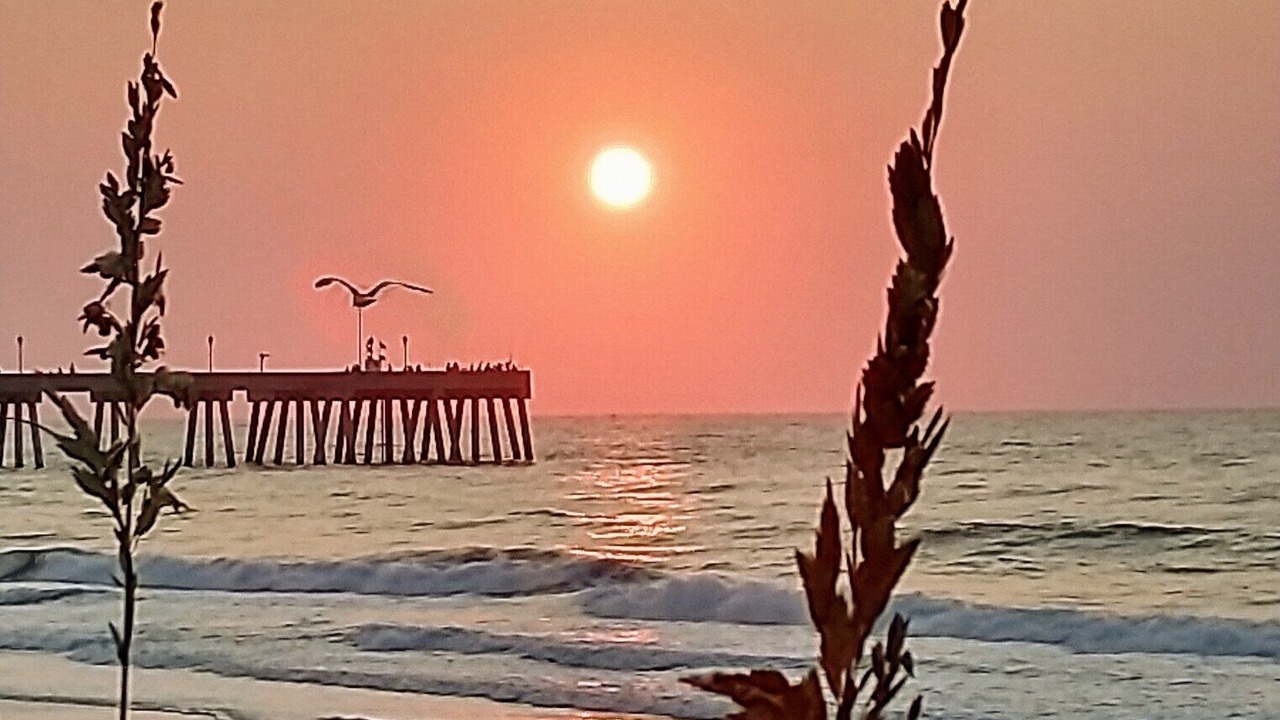 Photo of Others in Wrightsville Beach