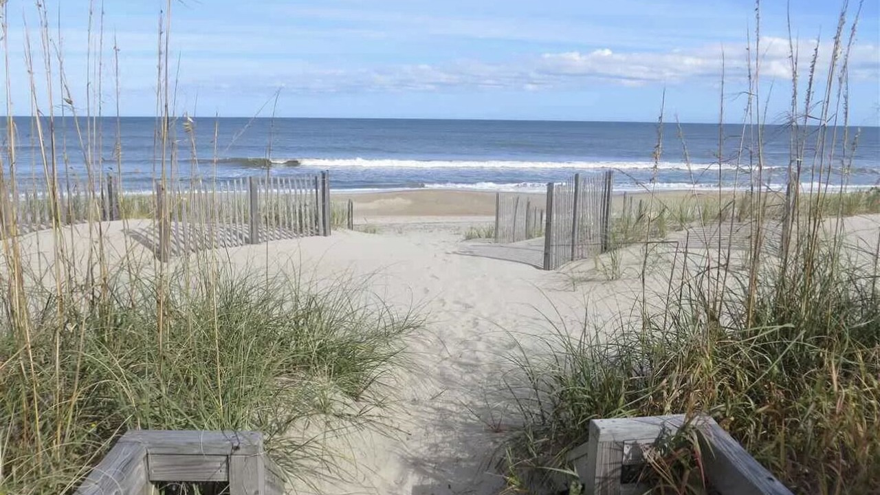 Photo of Others in Carolina Dunes