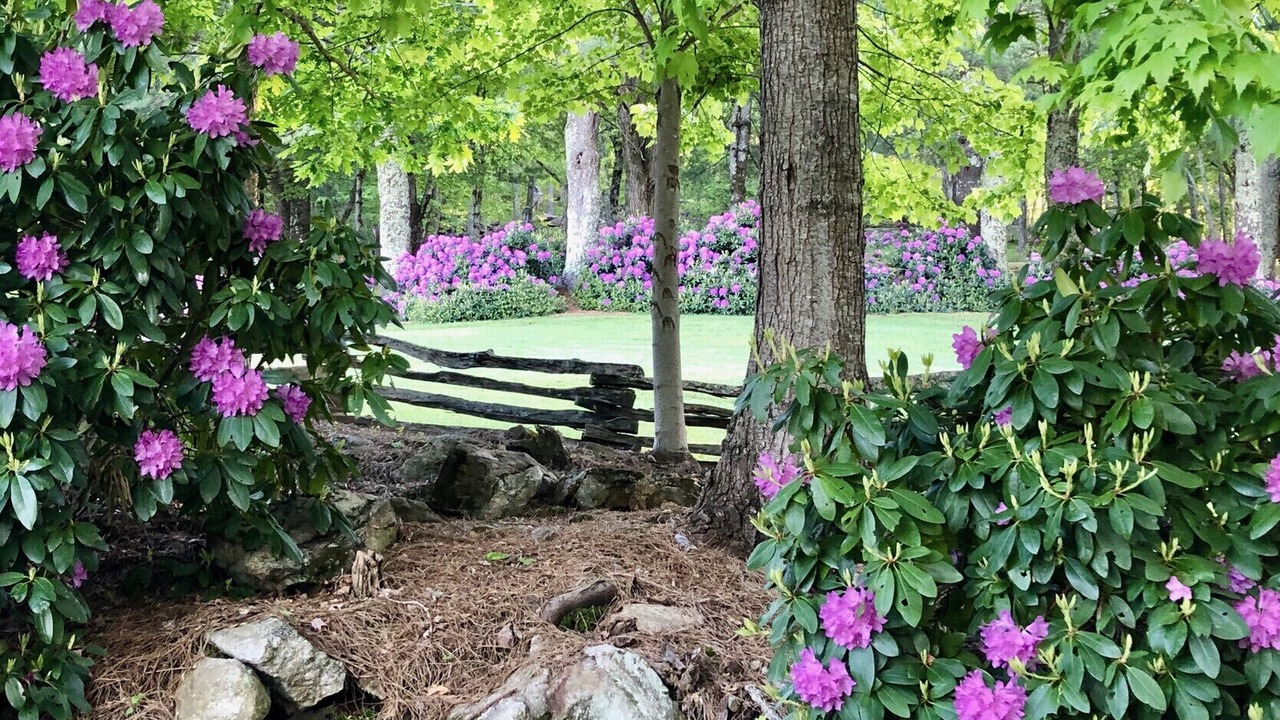 Photo of Outdoor in Cullowhee