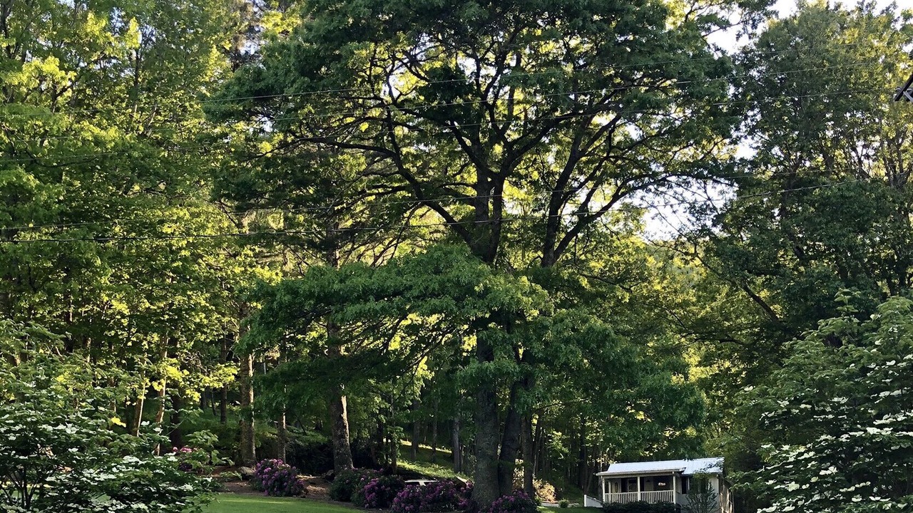 Photo of Outdoor in Cullowhee