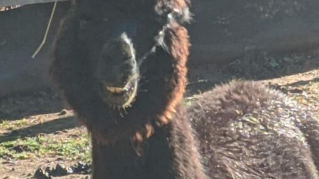 Photo of Others in Bryson City