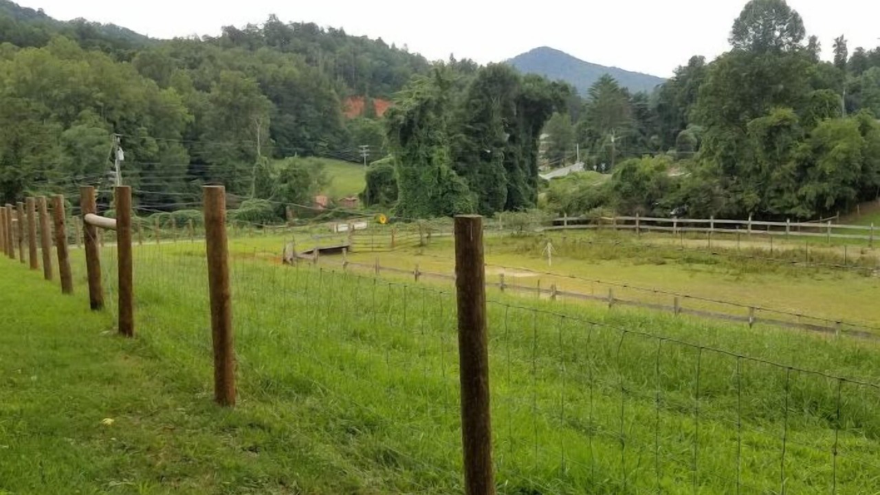 Photo of Outdoor in Bryson City