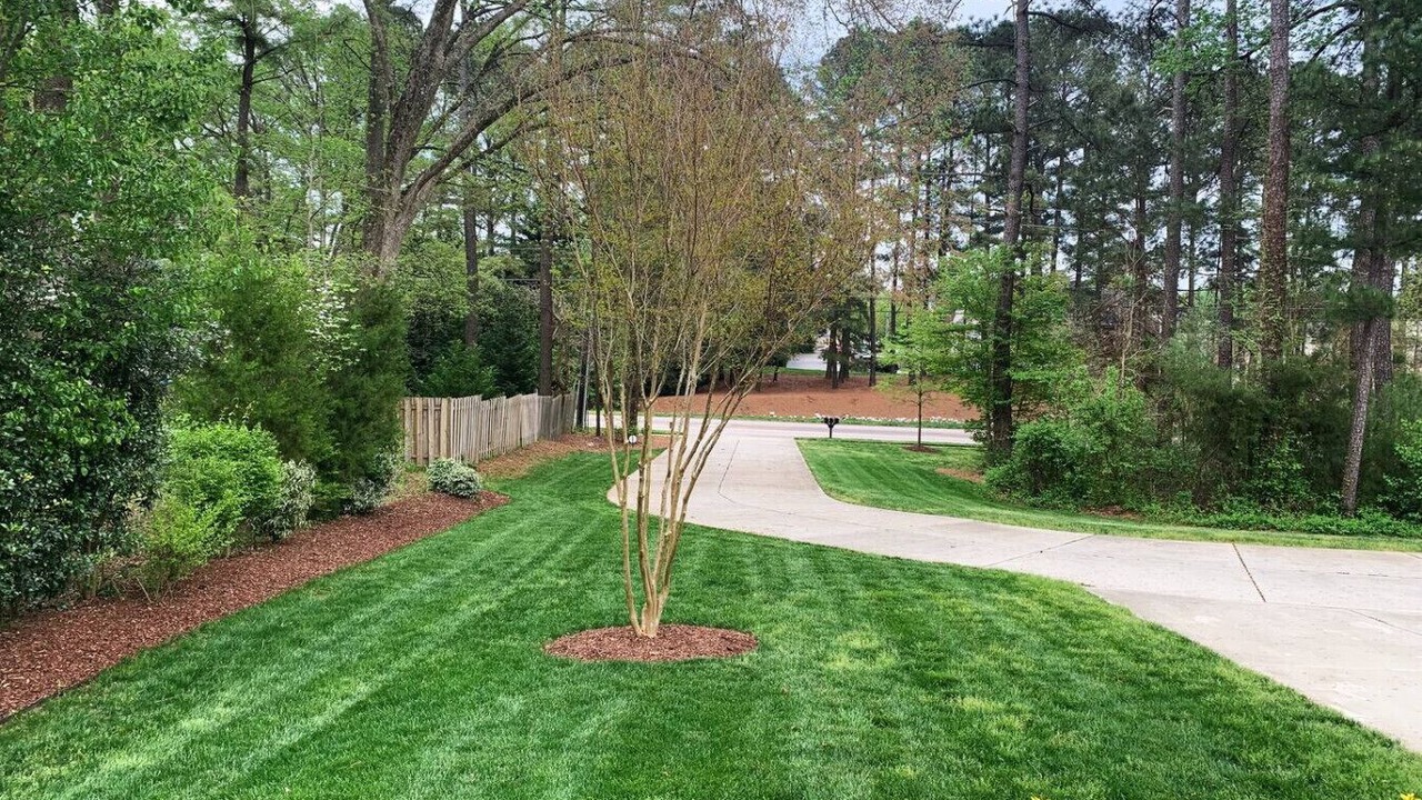 Photo of Outdoor in North Raleigh