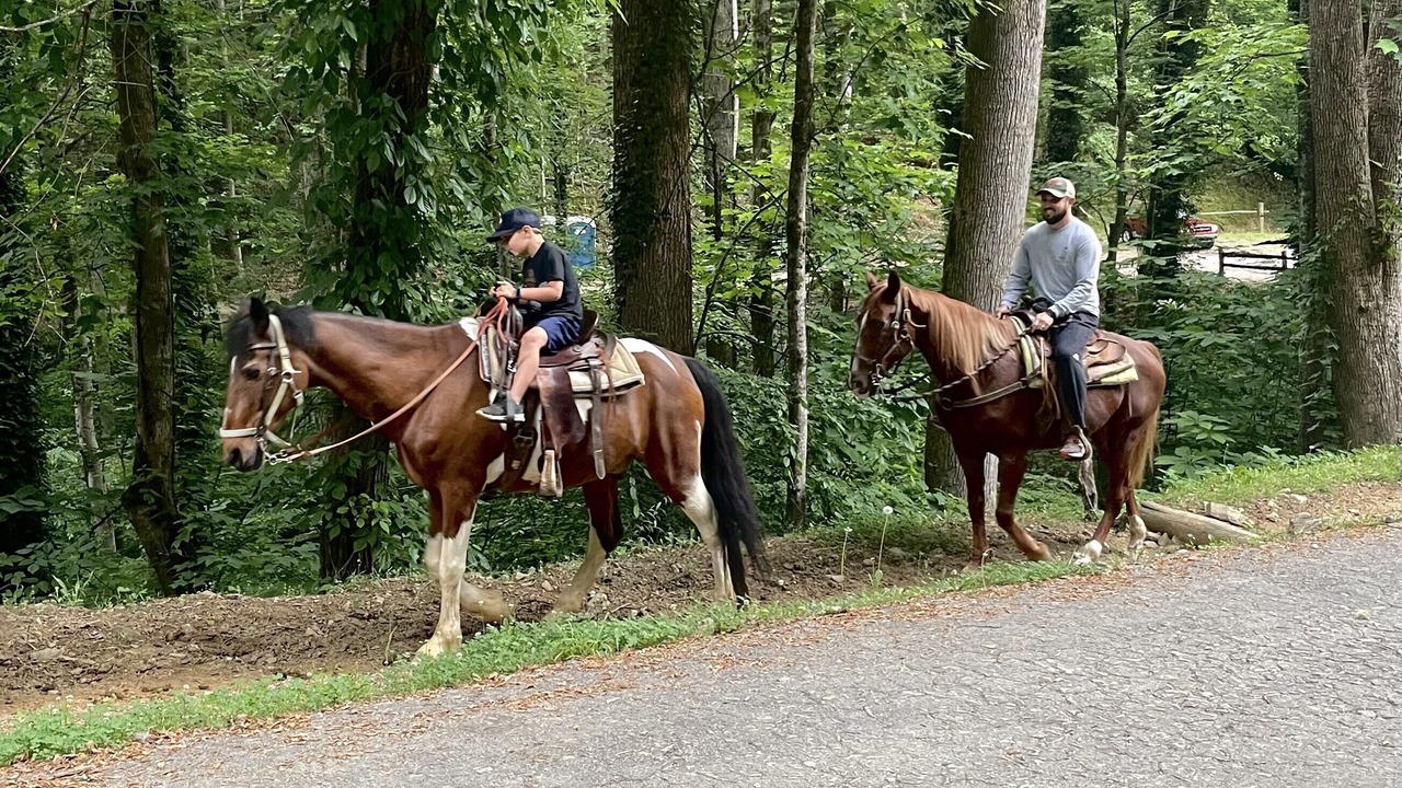 Photo of Others in Bryson City