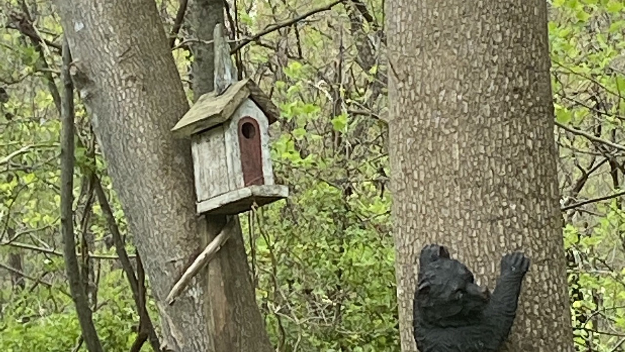 Photo of Outdoor in Tarheel