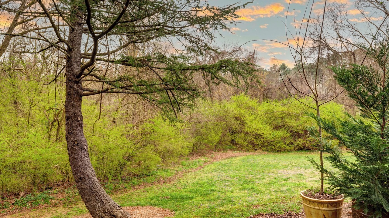 Photo of Outdoor in Carrboro