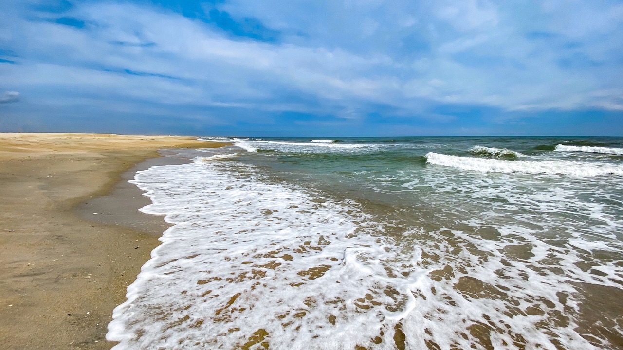 Photo of Others in Hatteras