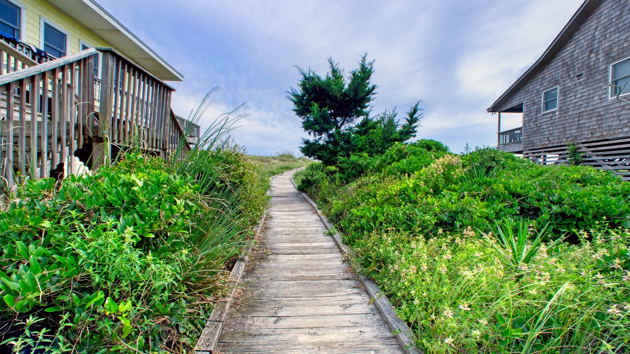 Photo of Outdoor in Hatteras