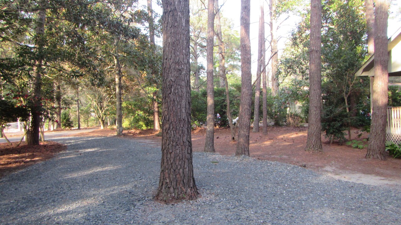 Photo of Others in Manteo