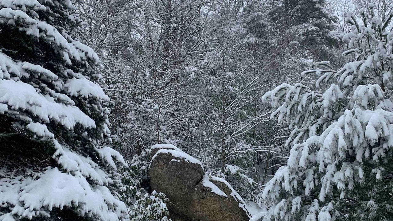 Photo of Outdoor in Apple Ridge