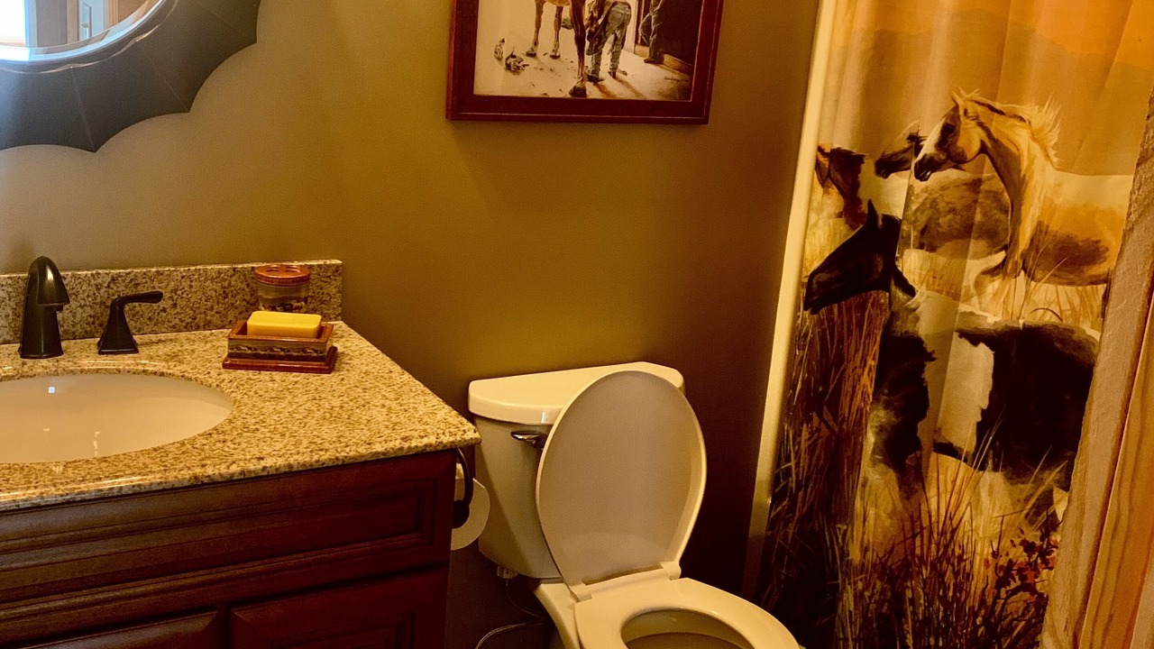 Photo of Bathroom in Horse Shoe