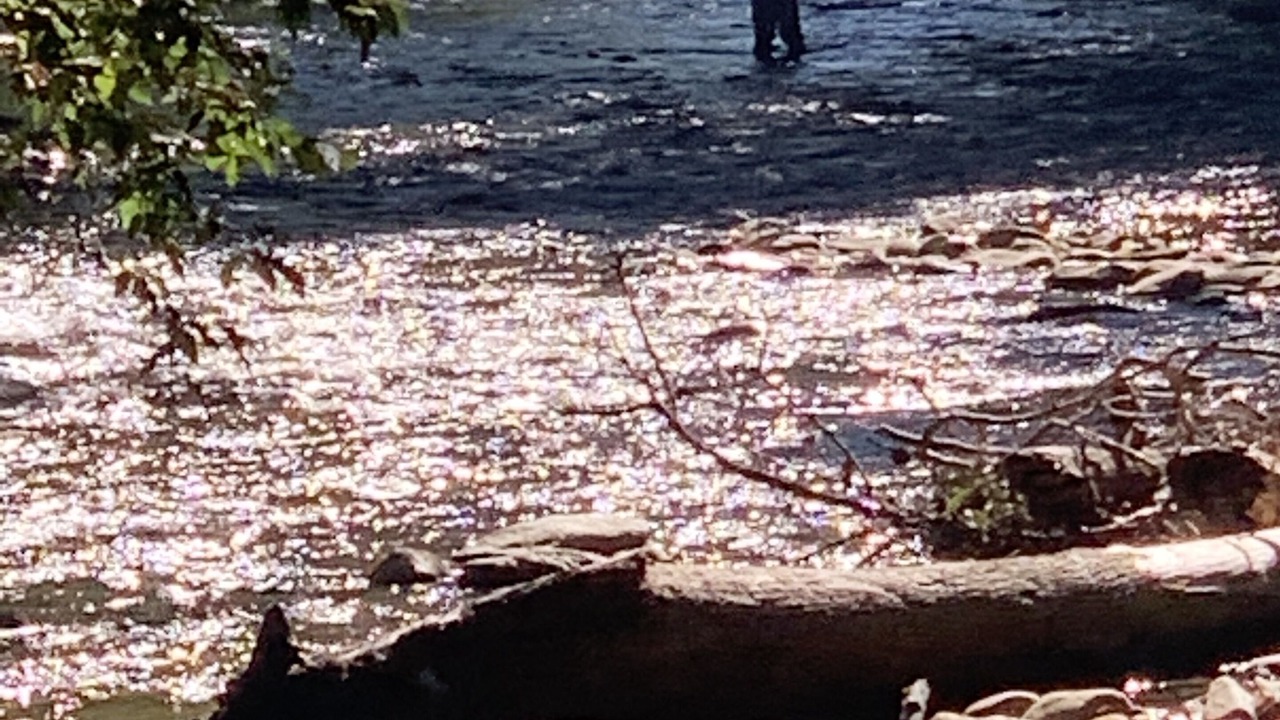 Photo of Others in Horse Shoe