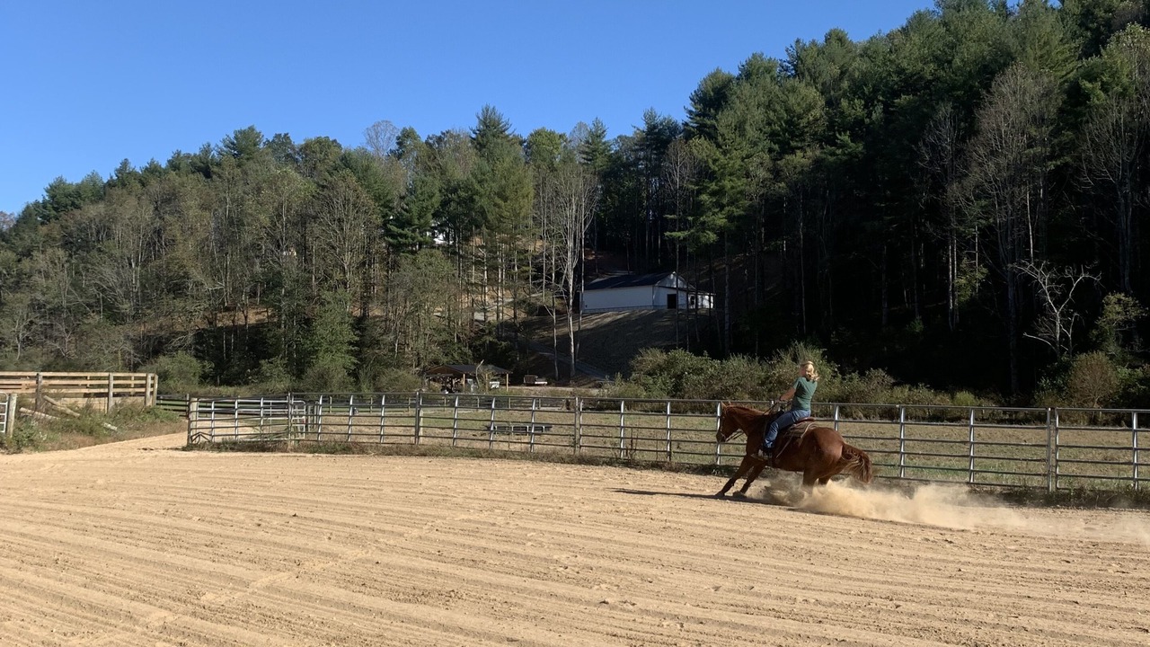 Photo of Outdoor in Horse Shoe