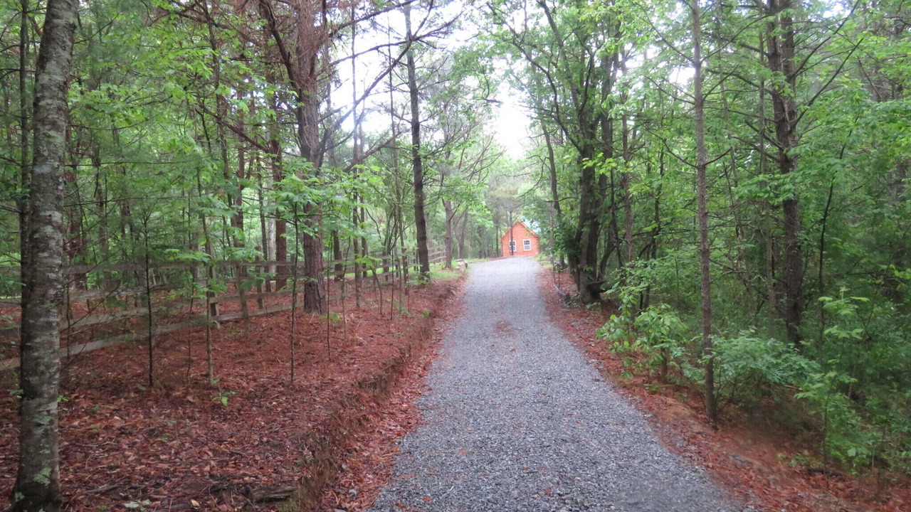 Photo of Outdoor in Fletcher