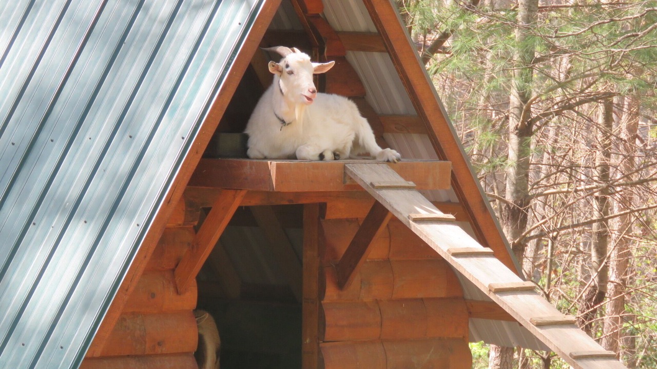 Photo of Others in Fletcher