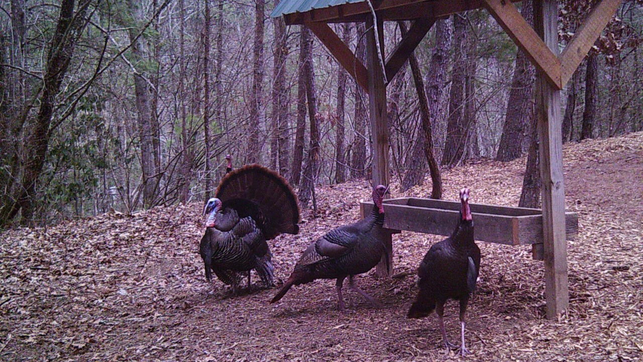 Photo of Others in Fletcher