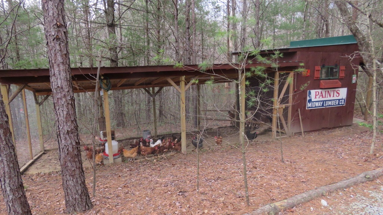 Photo of Outdoor in Fletcher