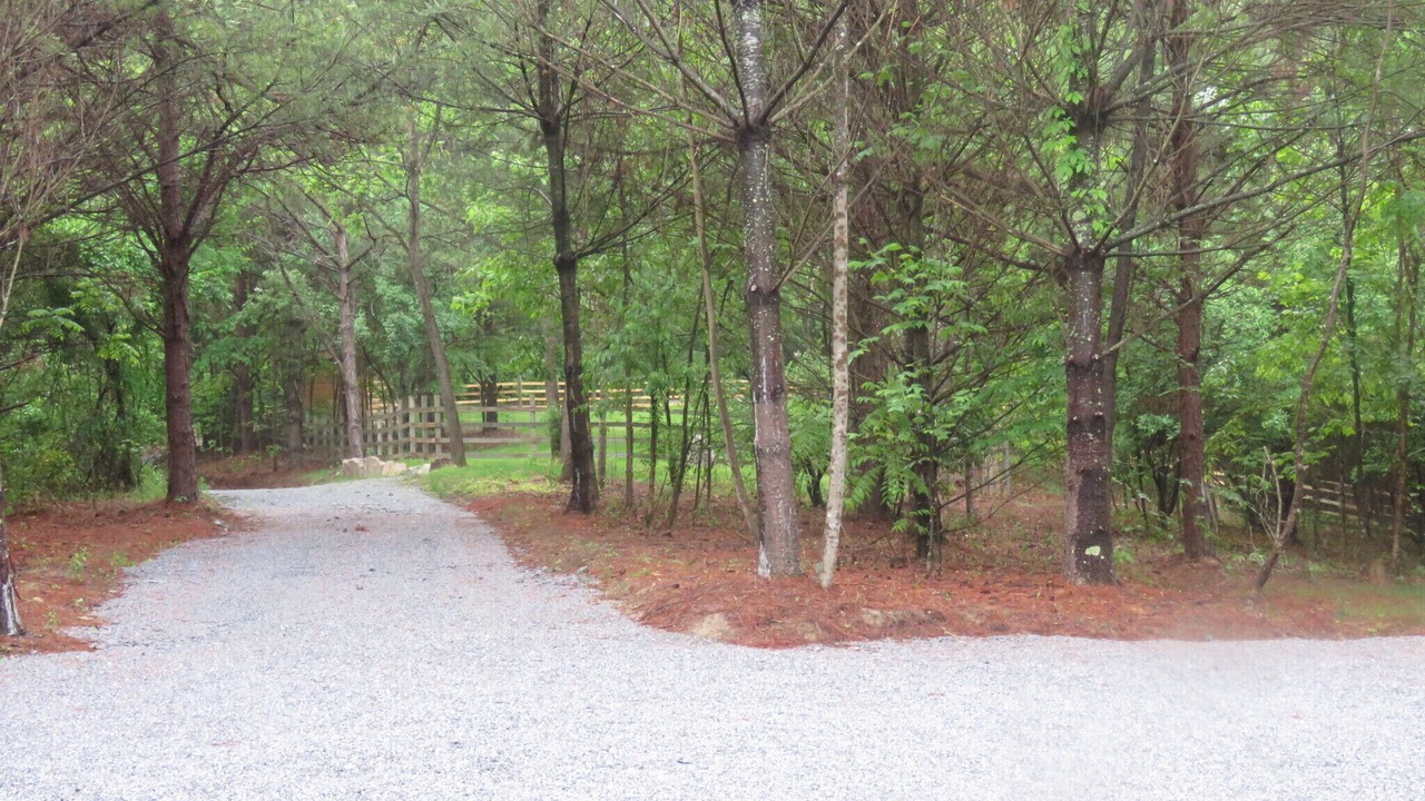 Photo of Outdoor in Fletcher