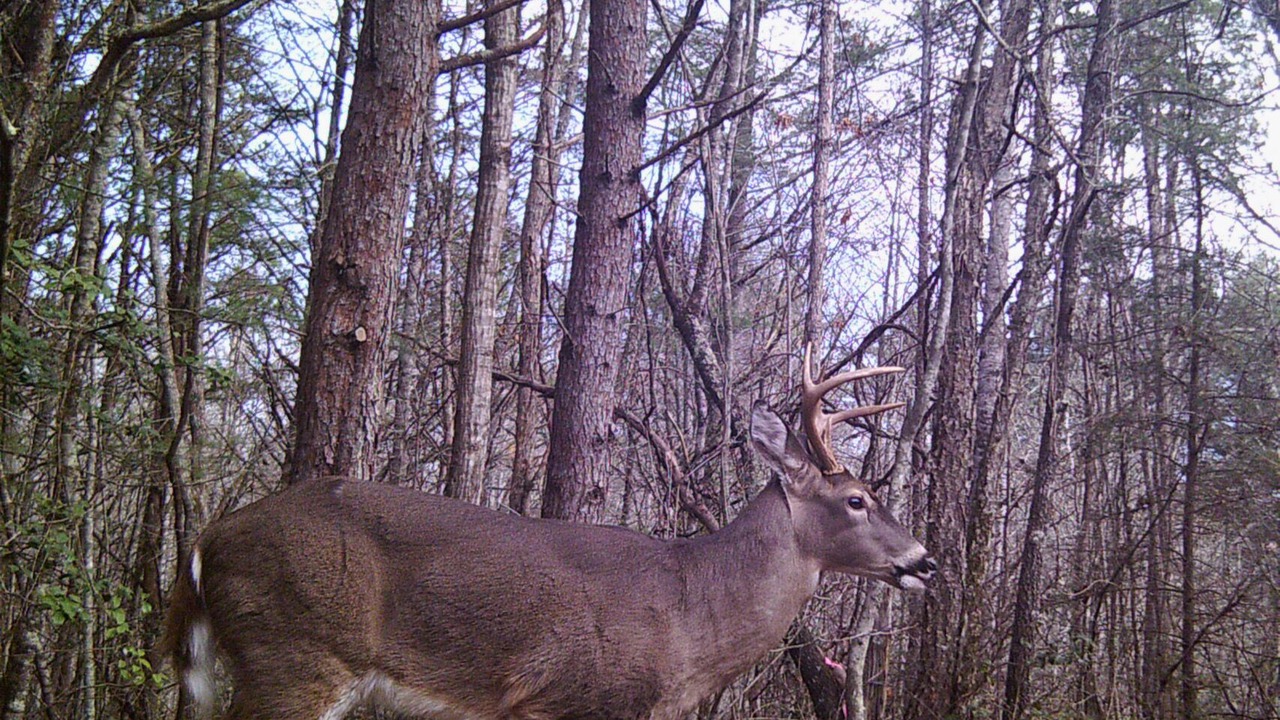 Photo of Others in Fletcher