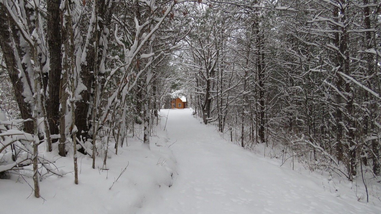 Photo of Outdoor in Fletcher